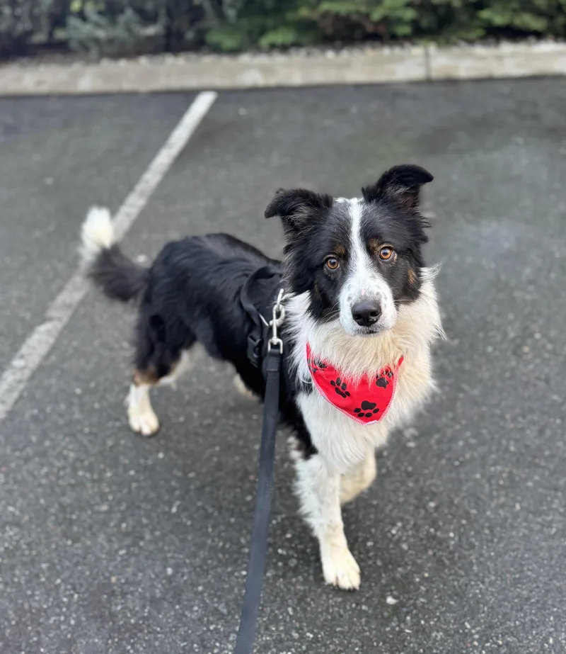 Sundance thumbnail 3