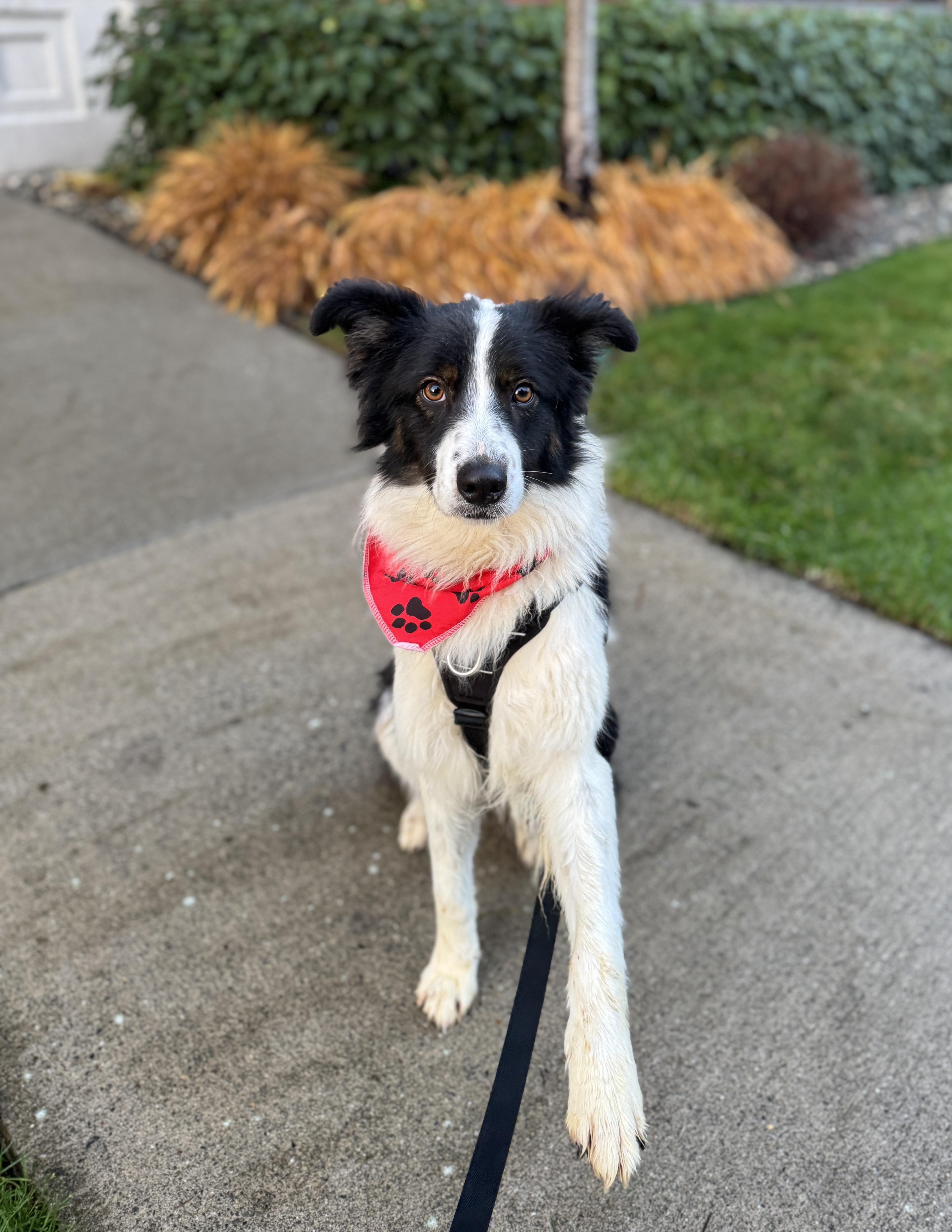 Sundance thumbnail 4