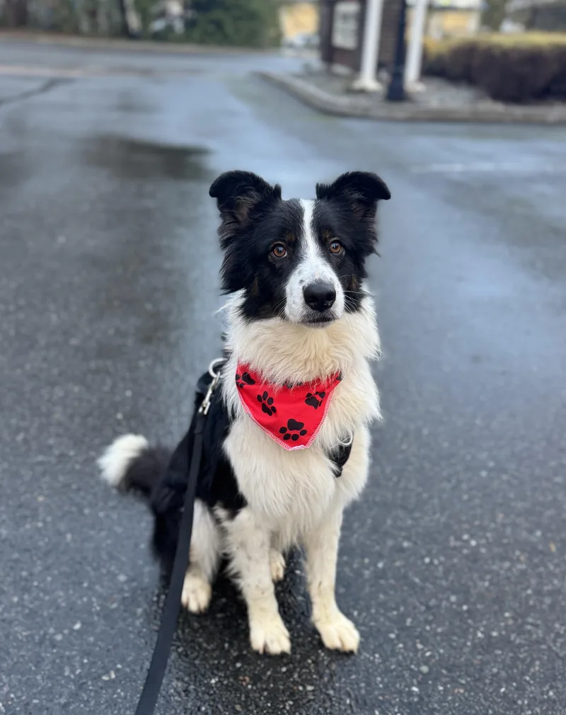 Sundance thumbnail 5