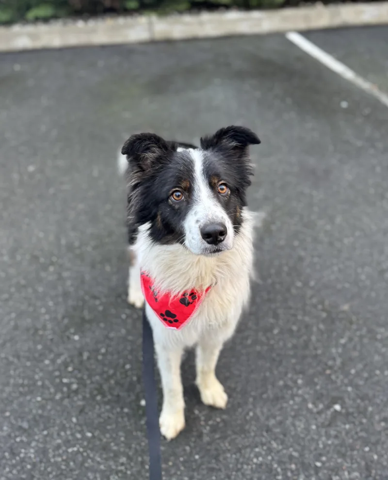 Sundance thumbnail 6