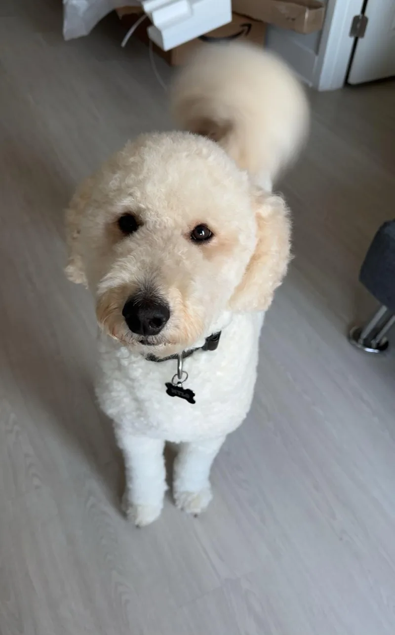 Mylo thumbnail 5
