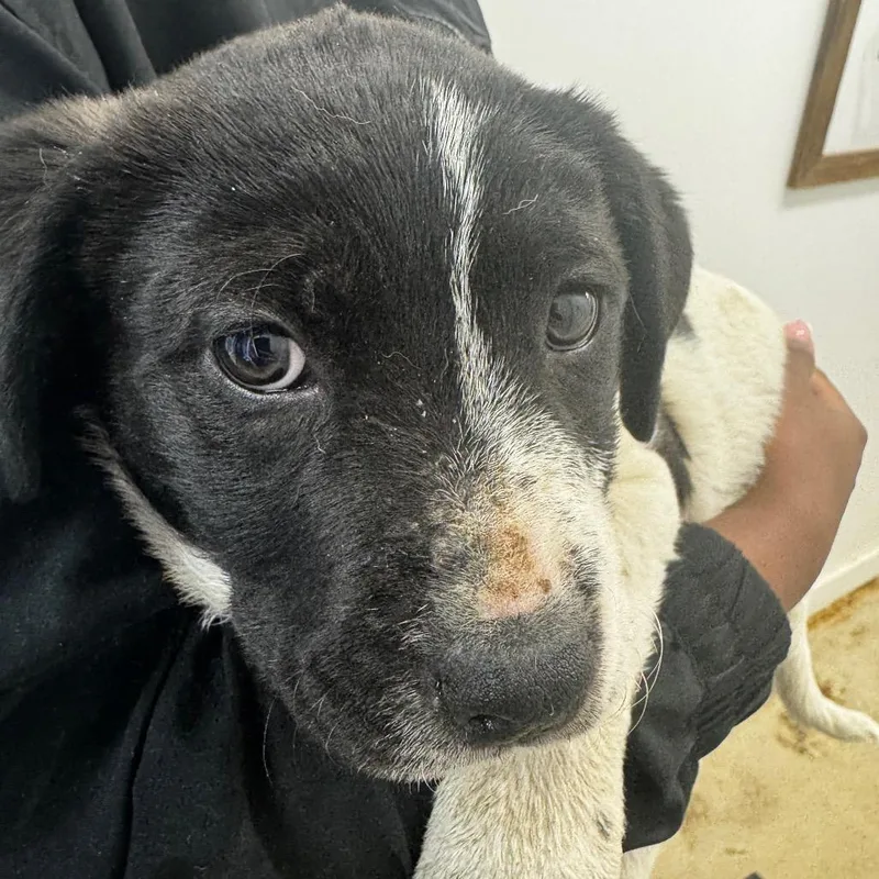 Mackenzie Morris thumbnail 2