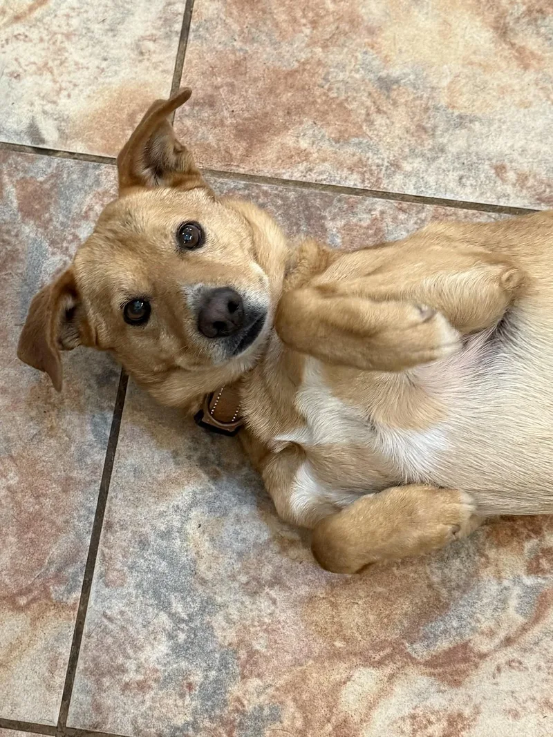 Bubba