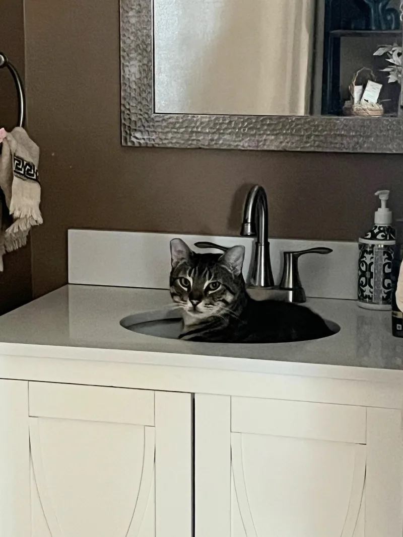 Wednesday And Bandit thumbnail 5