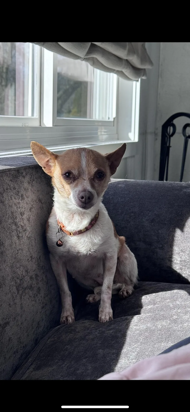 Lulu Aka Lucy thumbnail 2