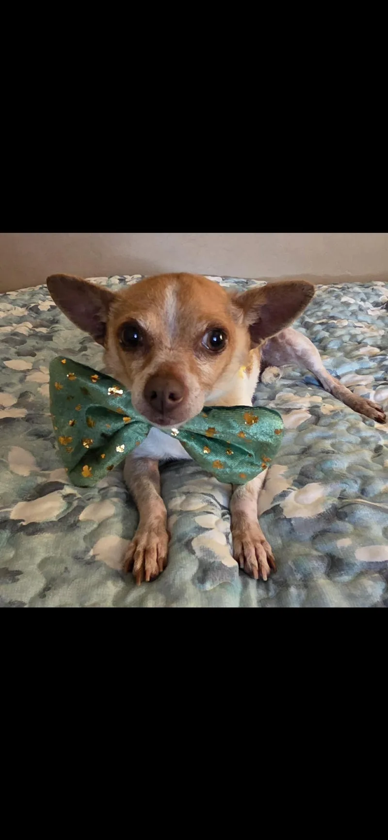 Lulu Aka Lucy thumbnail 4