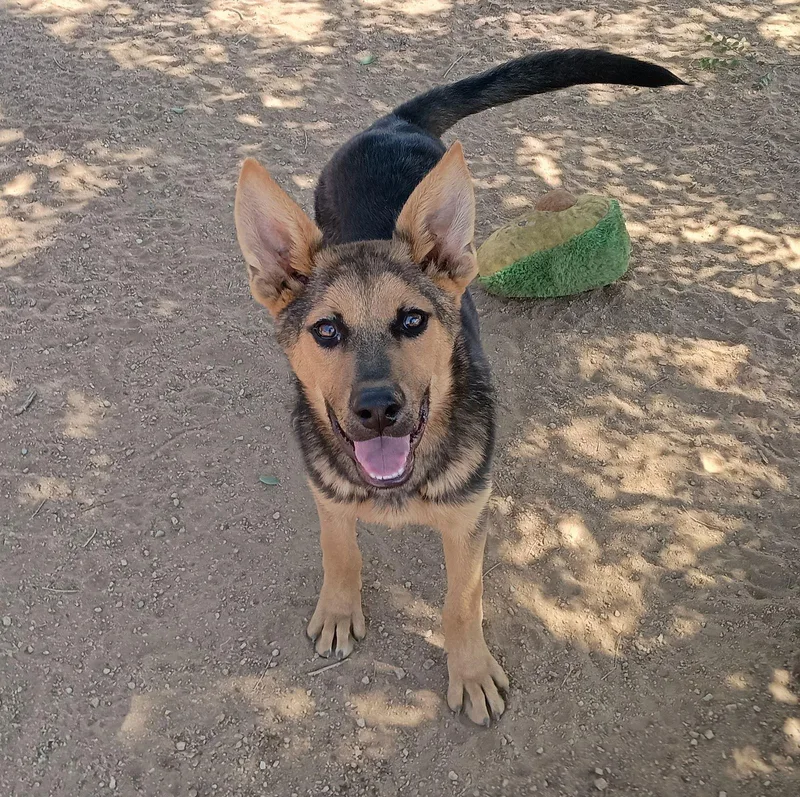 Lightsaber thumbnail 2