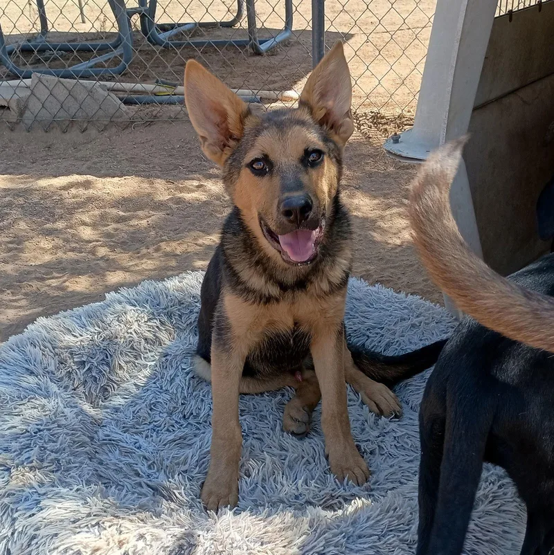 Lightsaber thumbnail 3