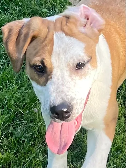 Gummibear thumbnail 2