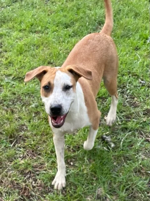 Gummibear thumbnail 3