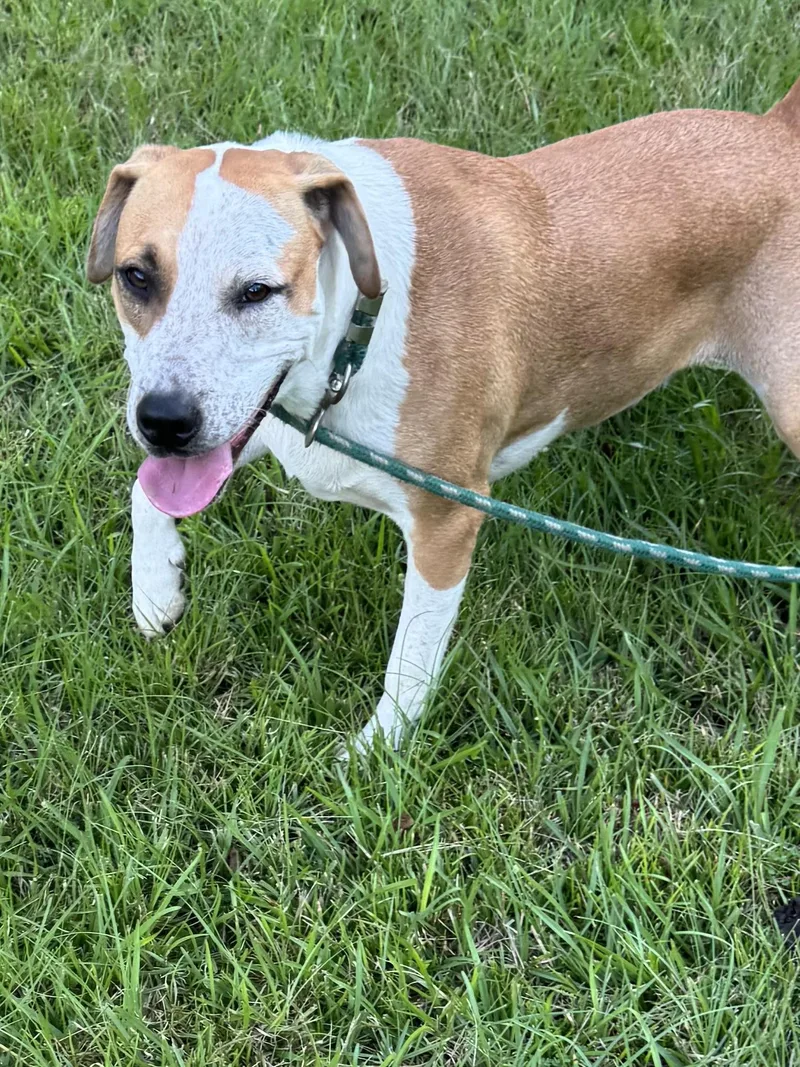 Gummibear thumbnail 4