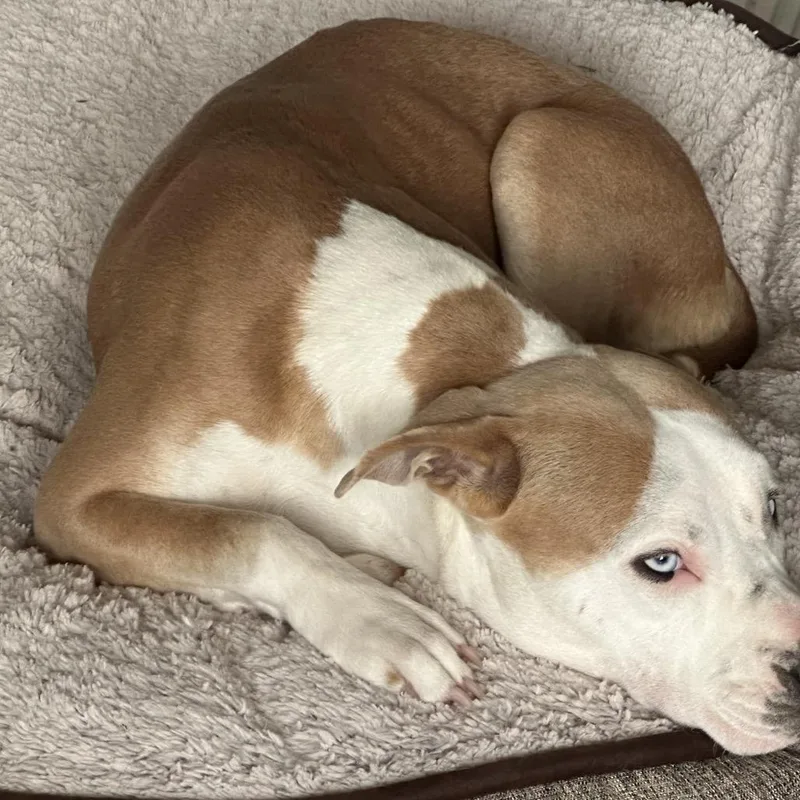 Champagne thumbnail 2