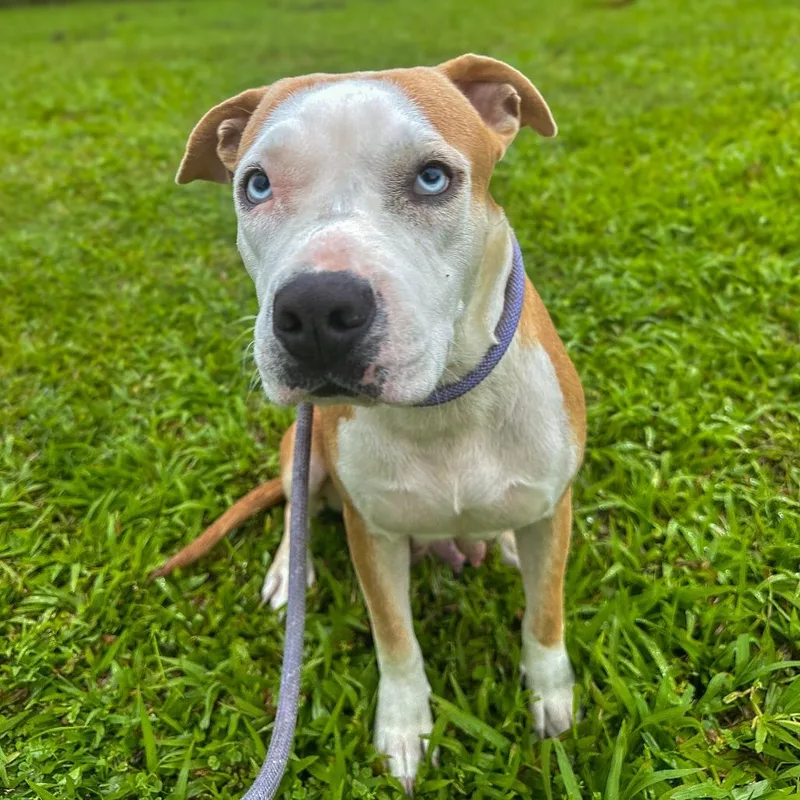 Champagne thumbnail 3