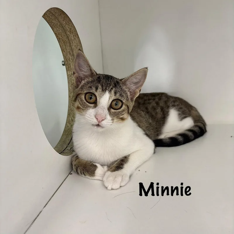 Minnie thumbnail 2