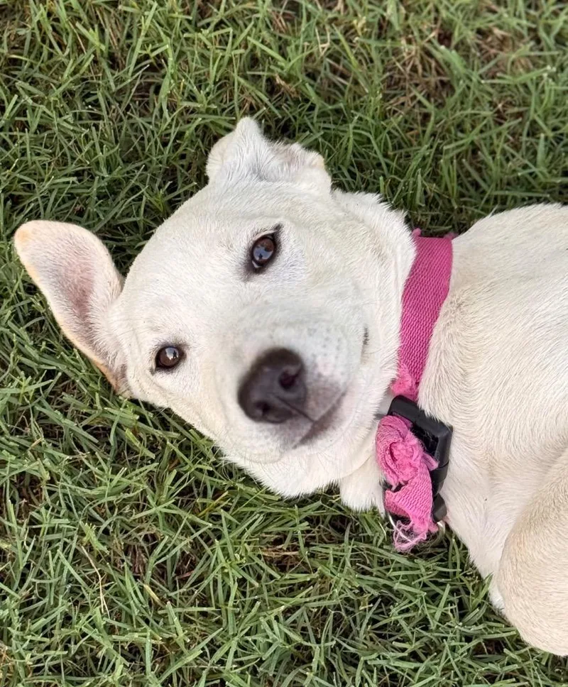 Karen thumbnail 3