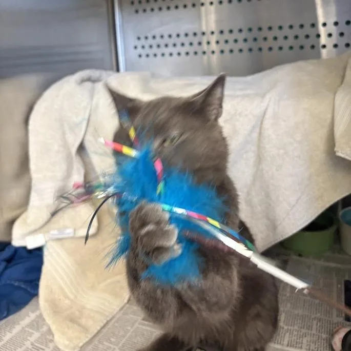 Microburst thumbnail 2