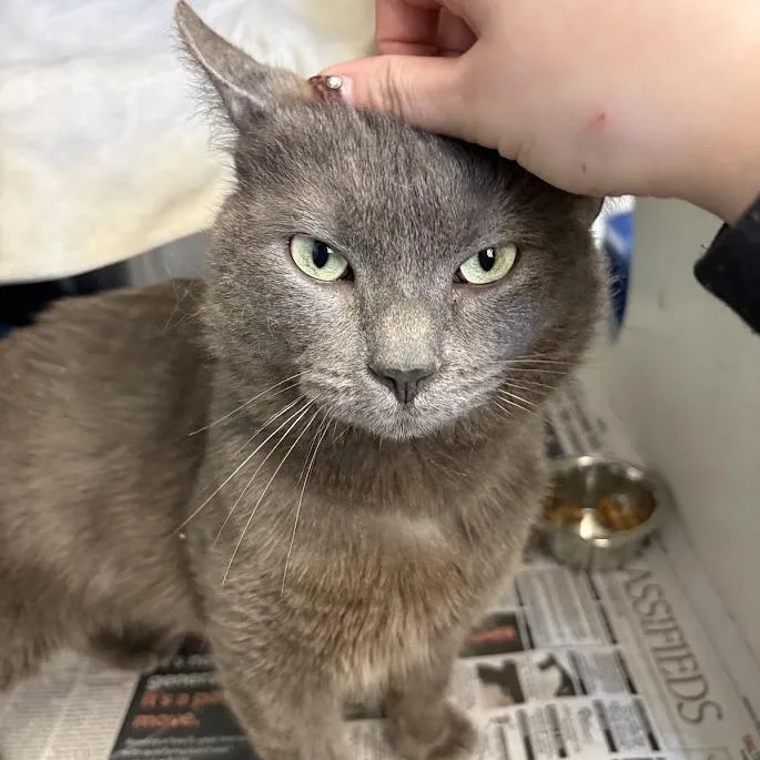 Microburst thumbnail 3