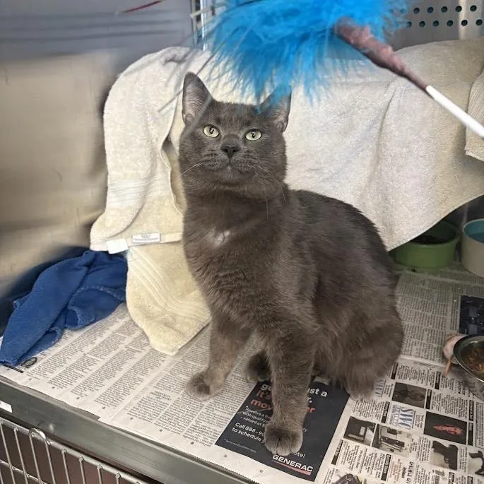 Microburst thumbnail 4