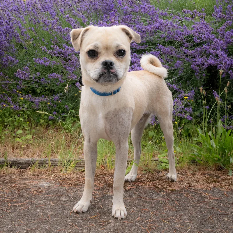 Marco thumbnail 2