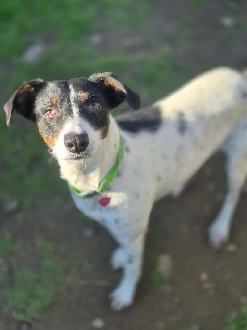 Charlotte thumbnail 2