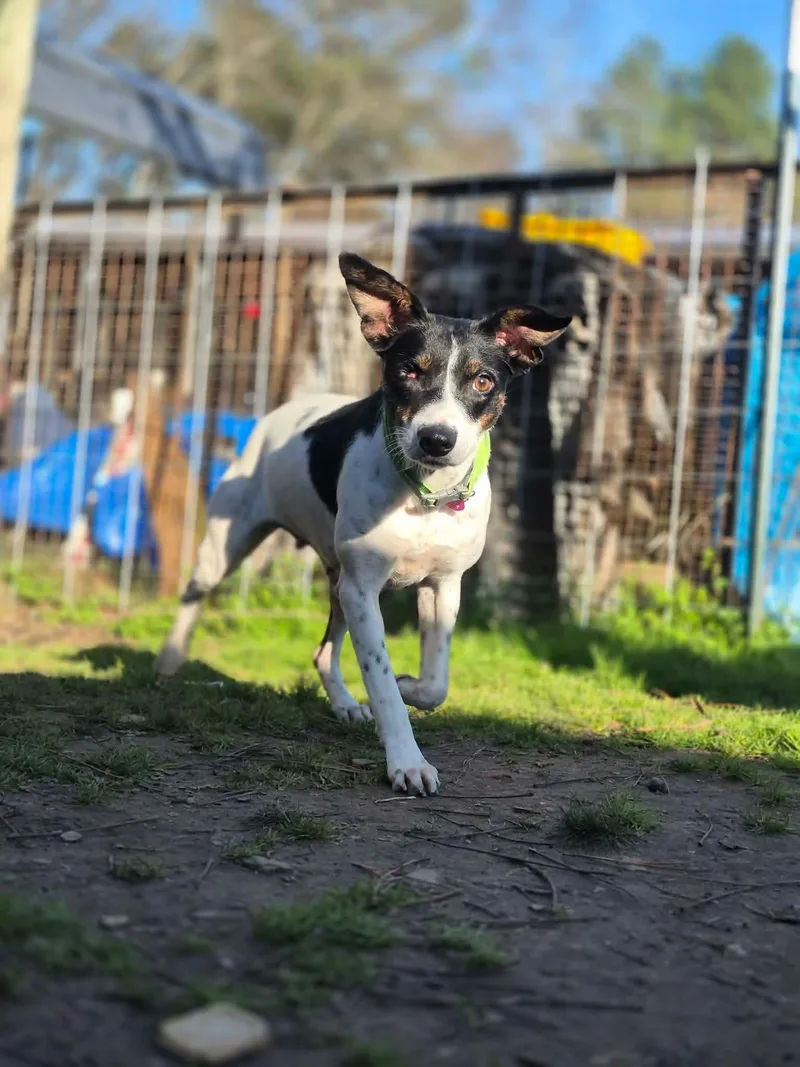 Charlotte thumbnail 3