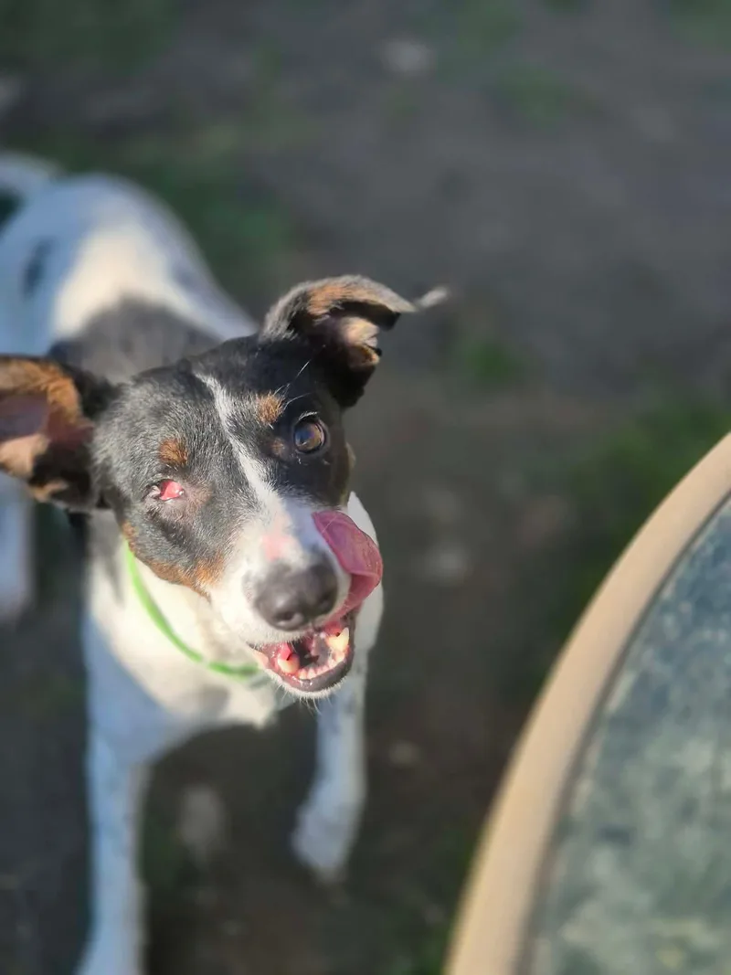 Charlotte thumbnail 4