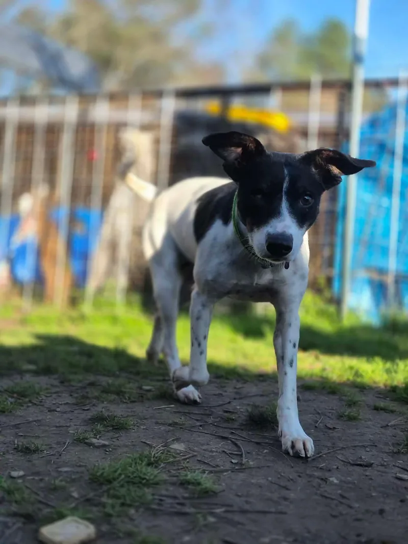 Charlotte thumbnail 5