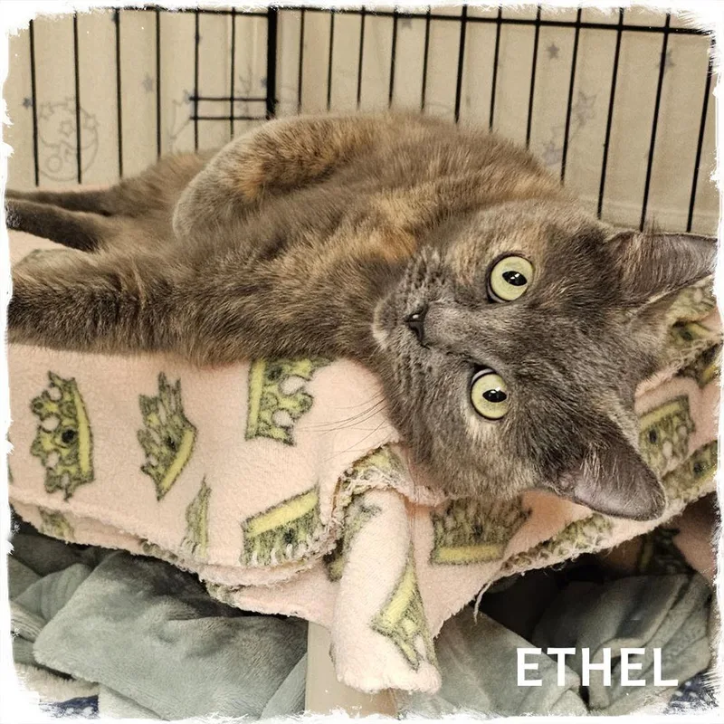 Ethel