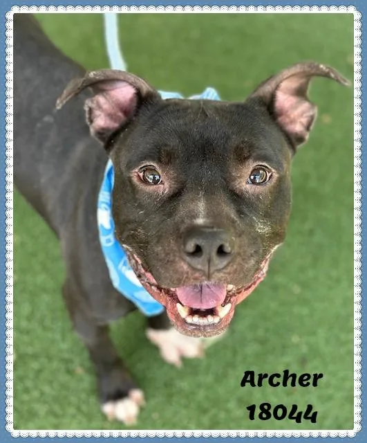 Archer