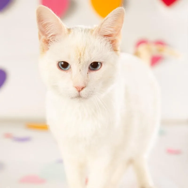 Jack Frost thumbnail 2