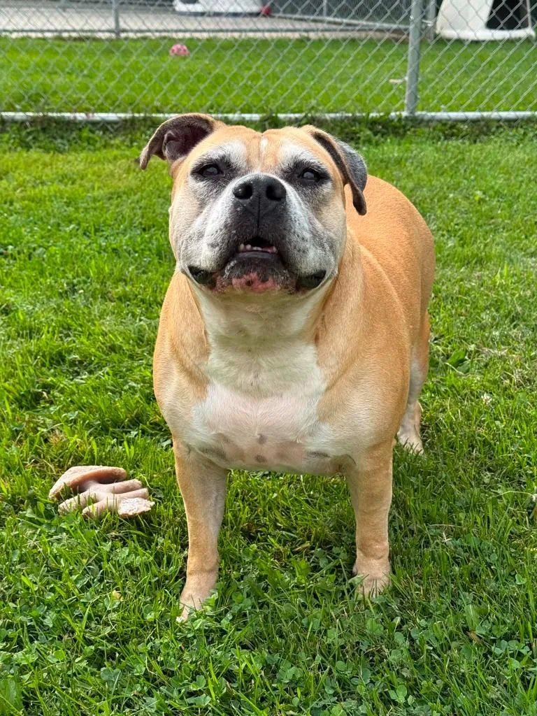 Ruth
