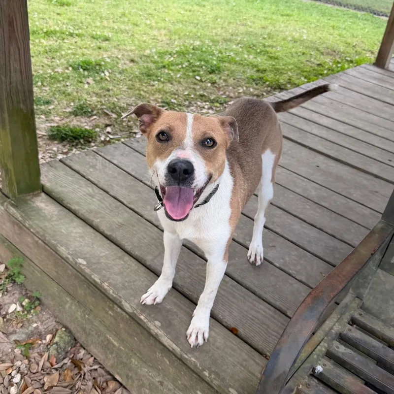 Frank Peppers thumbnail 2