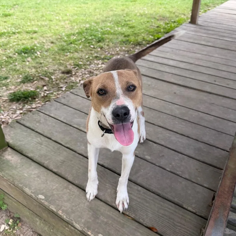 Frank Peppers thumbnail 3