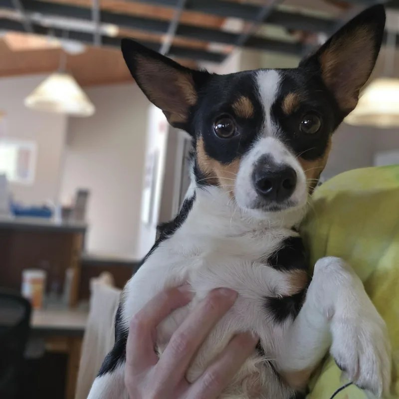 Eddie thumbnail 5