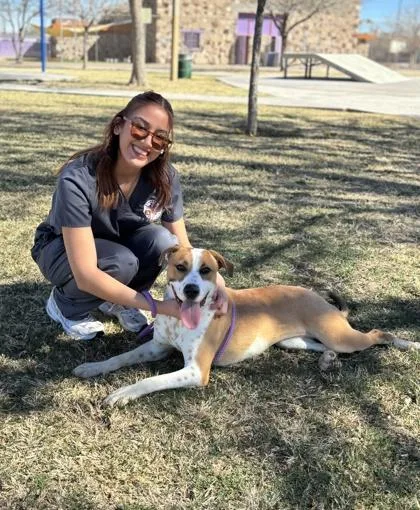 Strawberry Shortcake thumbnail 3