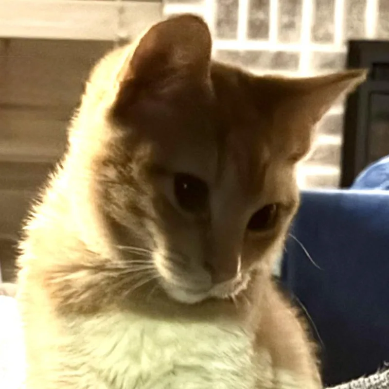 Juniper & Junie B thumbnail 2