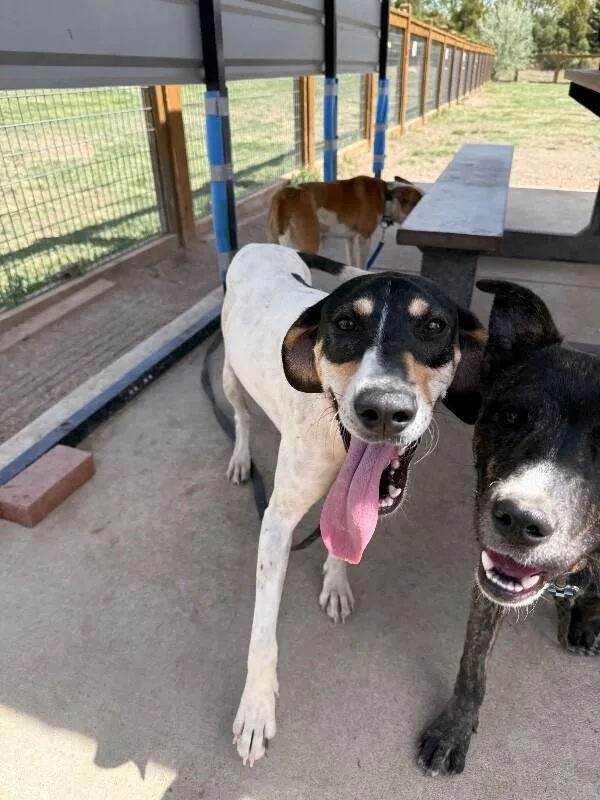 Virginia thumbnail 2