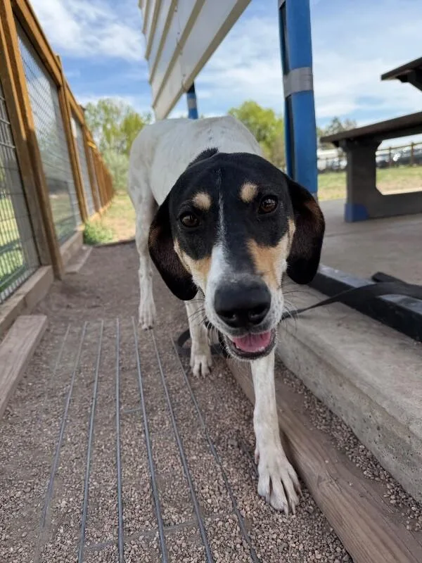 Virginia thumbnail 4