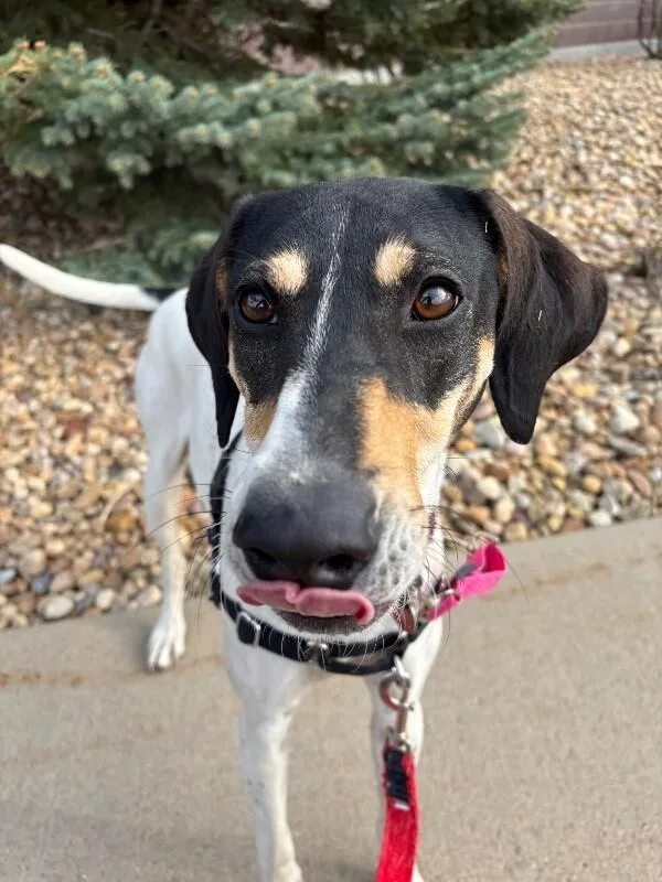 Virginia thumbnail 5