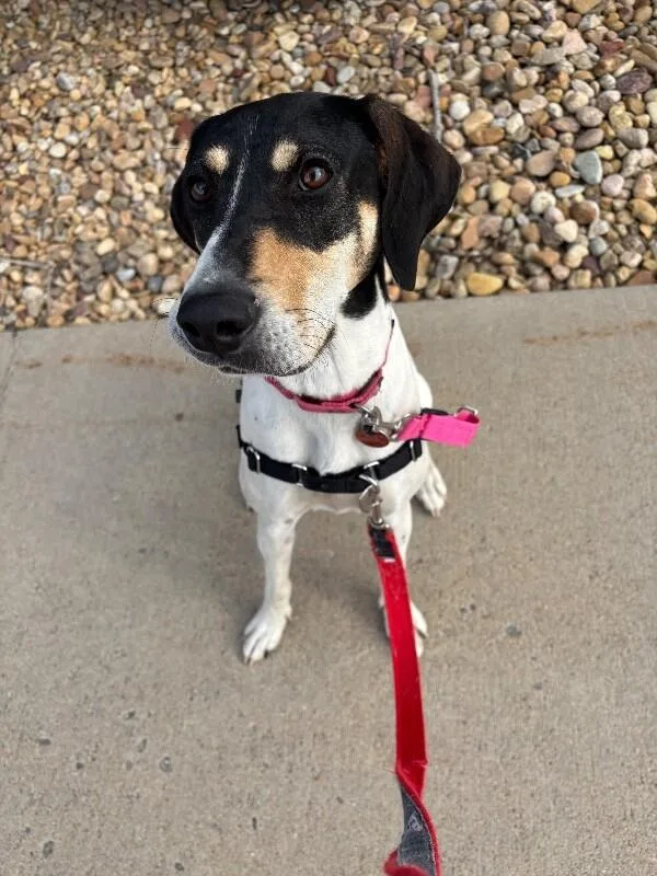 Virginia thumbnail 6