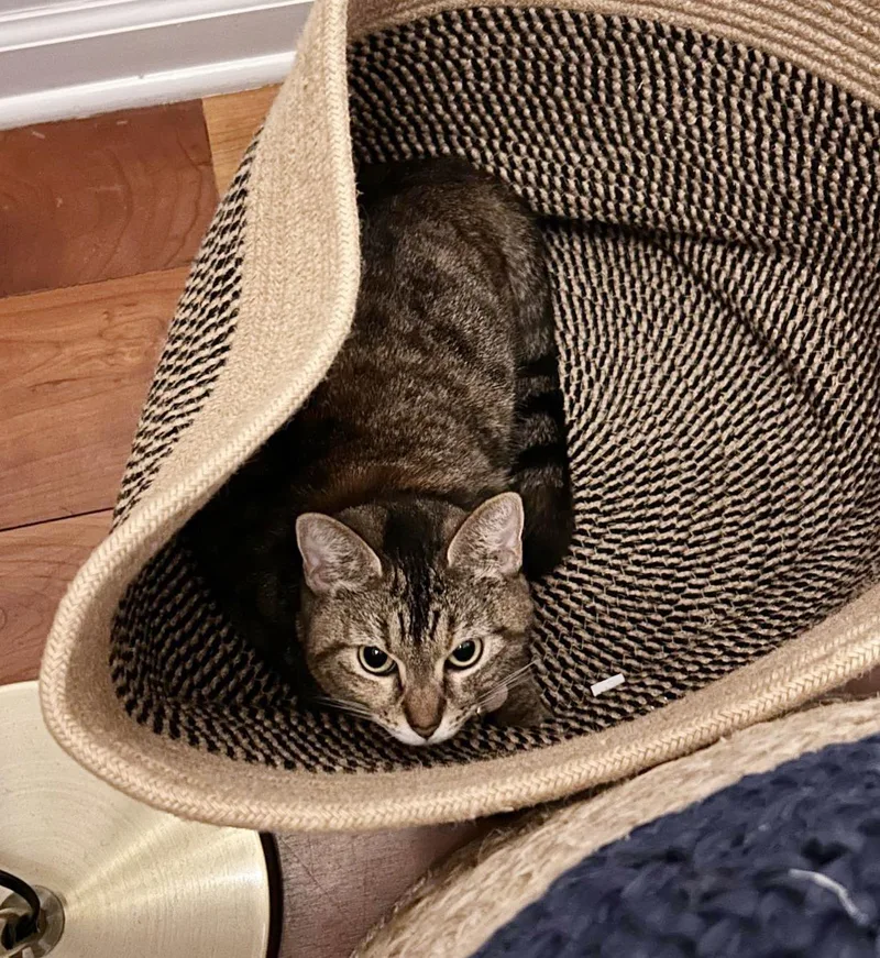 Momma Is Simply Magic! thumbnail 2