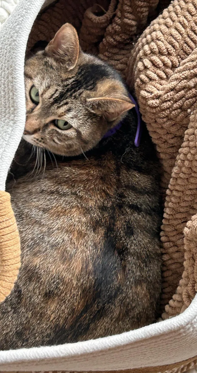 Momma Is Simply Magic! thumbnail 3