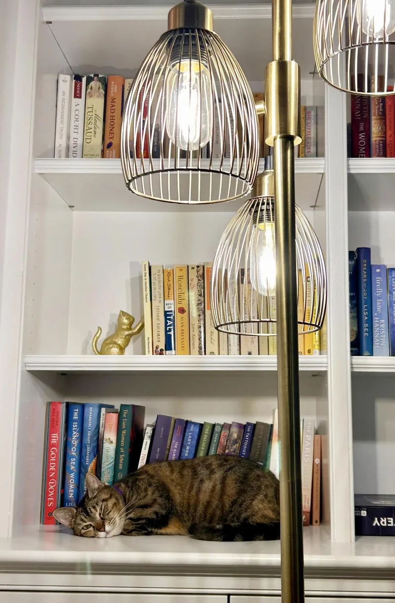 Momma Is Simply Magic! thumbnail 5