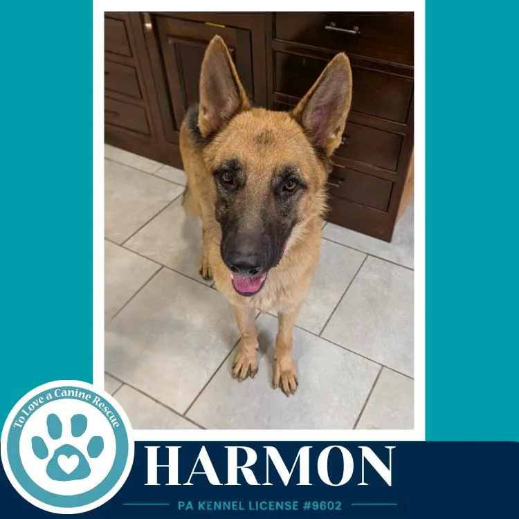 Harmon