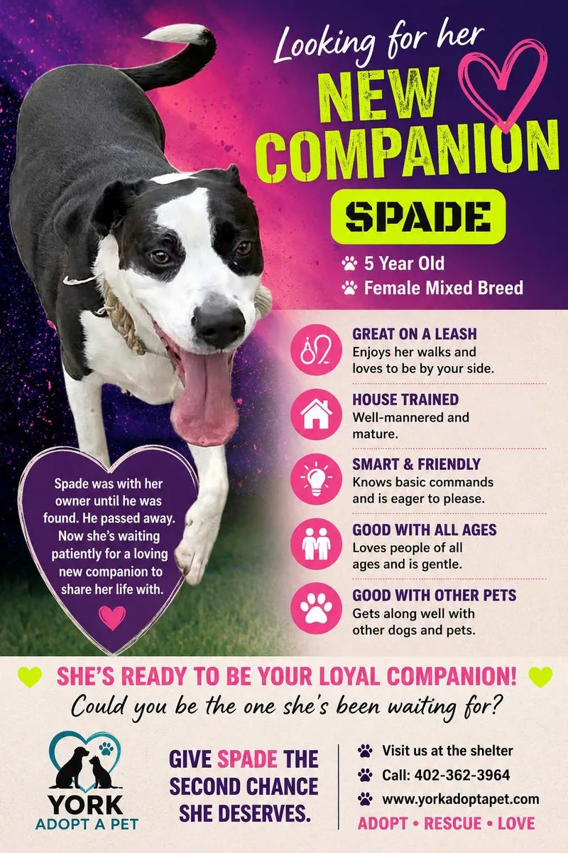 Spade