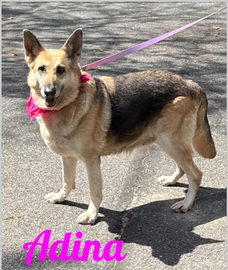 Adina thumbnail 3