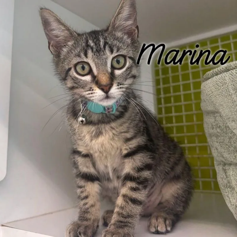 Marina thumbnail 4