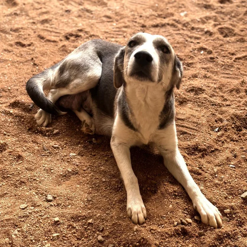 Mom Dory thumbnail 3