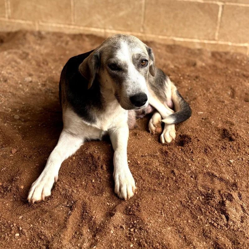 Mom Dory thumbnail 4