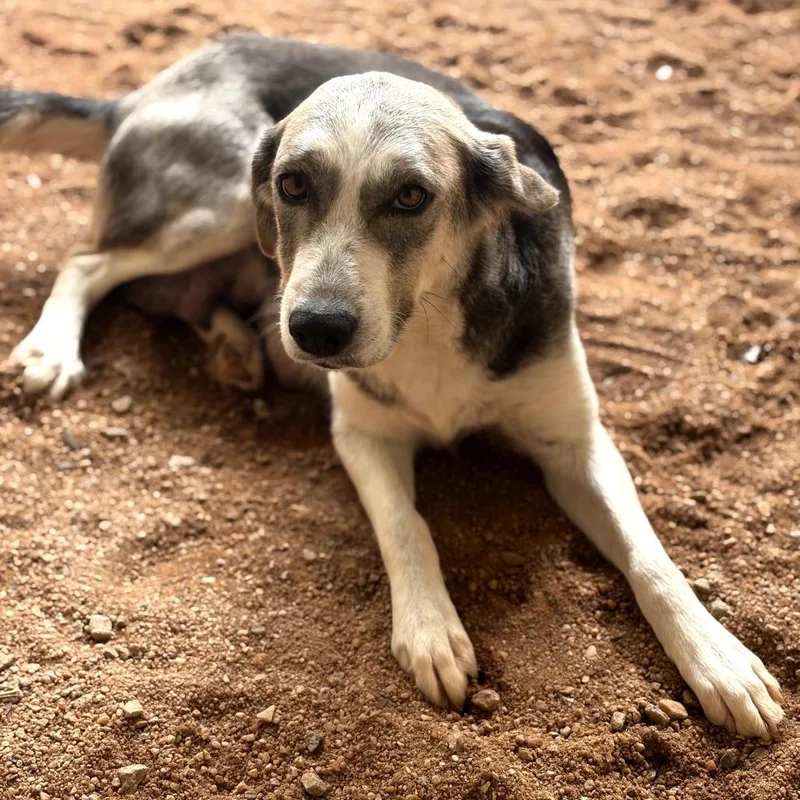 Mom Dory thumbnail 5